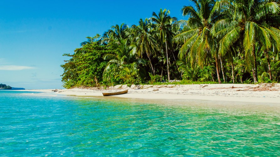 Yoga Retreat Panama The Travel Yogi